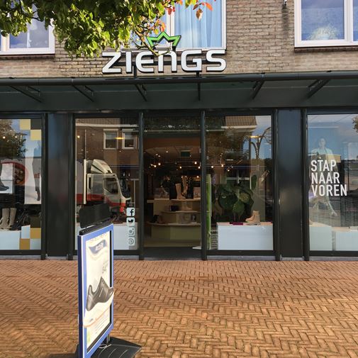 ziengs leek